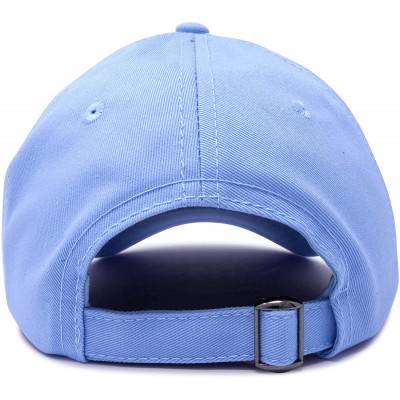 Baseball Caps Outdoor Cap Mountain Dad Hat Hiking Trek Wilderness Ballcap - Light Blue - C318SKW369X $11.12