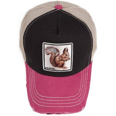 Baseball Caps Unisex Animal Mesh Trucker Hat Snapback Square Patch Baseball Caps - Black Red Squirrel - CD18GLNUOUE $16.67