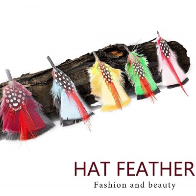 Fedoras Hat Feathers- 12 Pcs Assorted Feather Packs Accessories for Fedora- Borges- Scott- Oktoberfest-Trilby Hat - CS18TQLHZ...