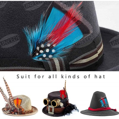 Fedoras Hat Feathers- 12 Pcs Assorted Feather Packs Accessories for Fedora- Borges- Scott- Oktoberfest-Trilby Hat - CS18TQLHZ...