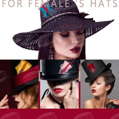 Fedoras Hat Feathers- 12 Pcs Assorted Feather Packs Accessories for Fedora- Borges- Scott- Oktoberfest-Trilby Hat - CS18TQLHZ...