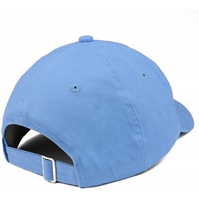 Baseball Caps Switzerland Text Embroidered Unstructured Cotton Dad Hat - Carolina Blue - CY18K6SXKER $16.58