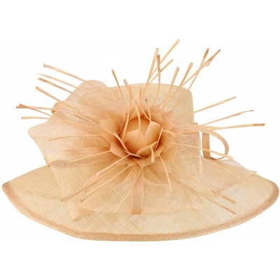 Sun Hats Reverse Duck Feathers Flower Large Brim Fashion Sinamay Hat - Blush - CV18R6WR3A8 $51.24