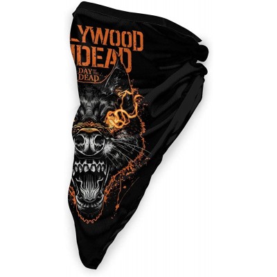 Balaclavas Hollywood Windproof Multifunction Headwear Balaclava - CL197MGZ72T $14.43